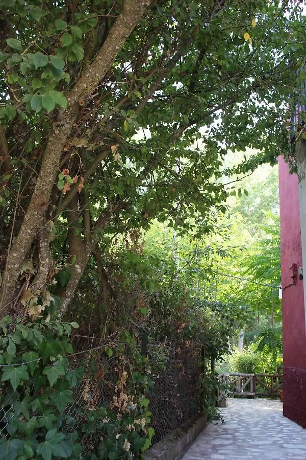 查兹拉德拉谢拉El Balcon Del Hueznar公寓